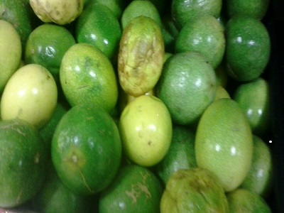 MARACUYA