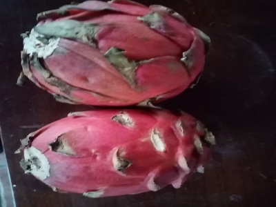 PITAHAYA