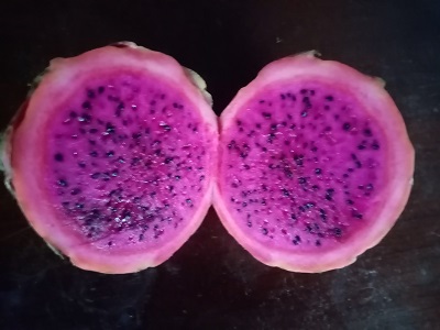 PITAHAYA1