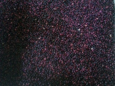 frijoles2020