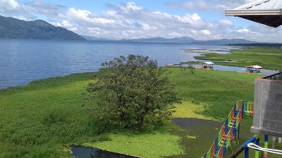 yojoa1